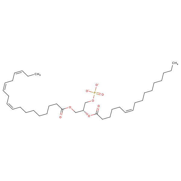Image of MNXM320066