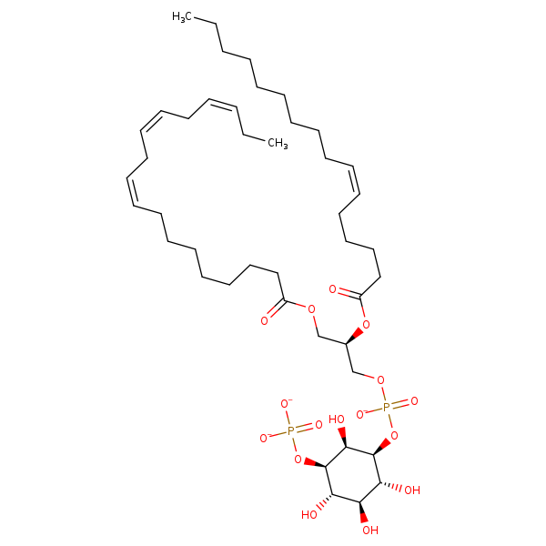 Image of MNXM320073