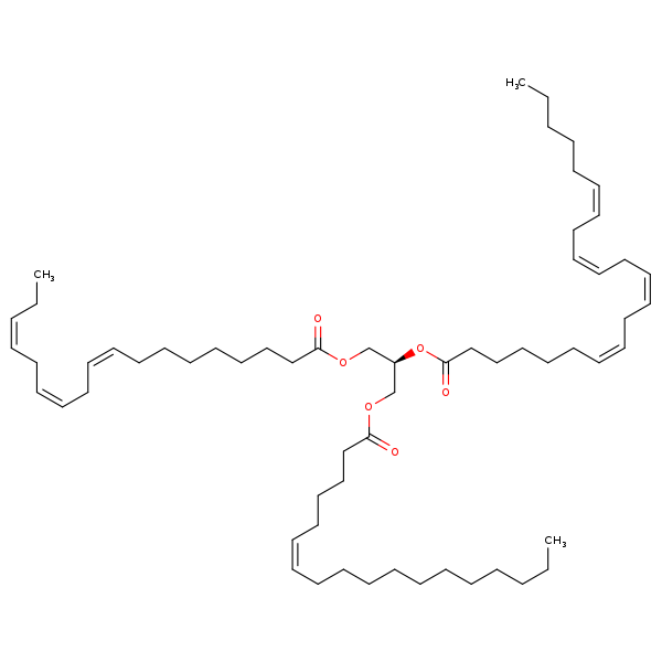 Image of MNXM320205