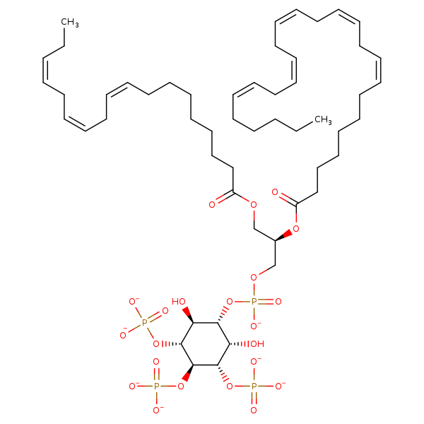 Image of MNXM320254