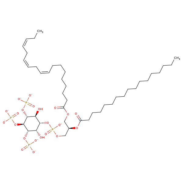 Image of MNXM321085