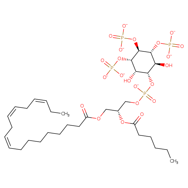 Image of MNXM321206