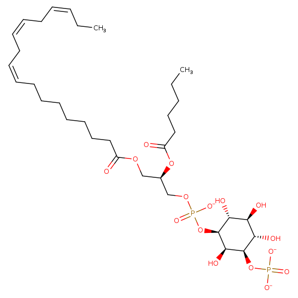 Image of MNXM321209