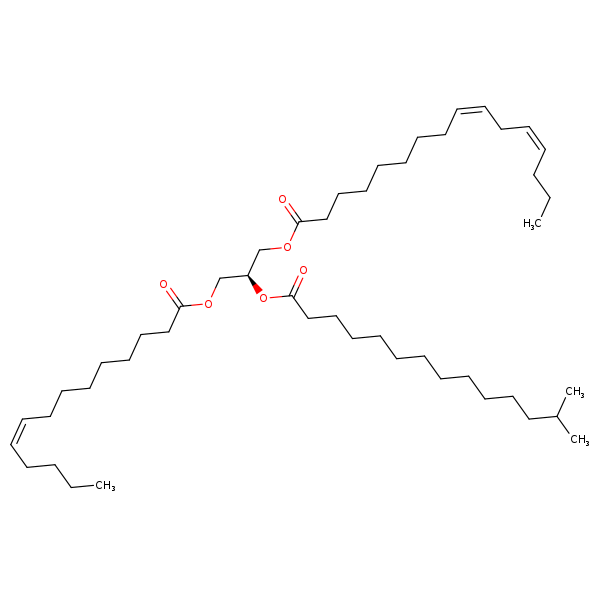 Image of MNXM322325