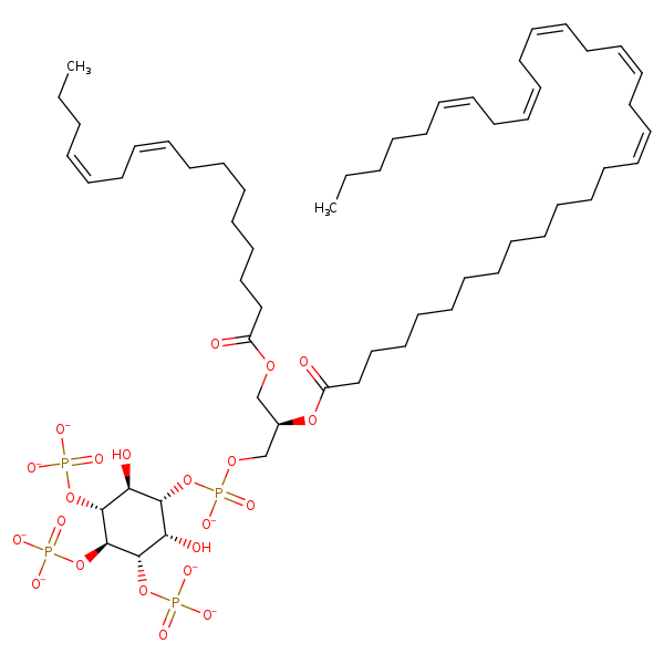 Image of MNXM322531