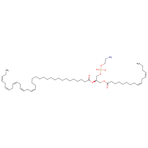 Image of MNXM322858