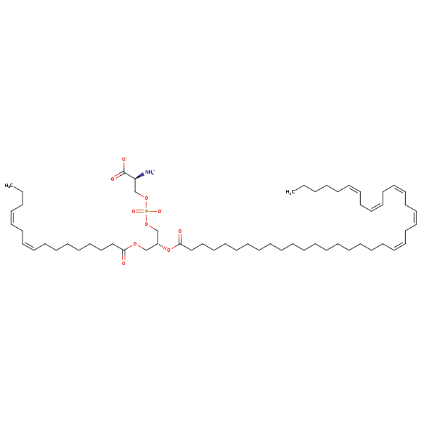 Image of MNXM322884