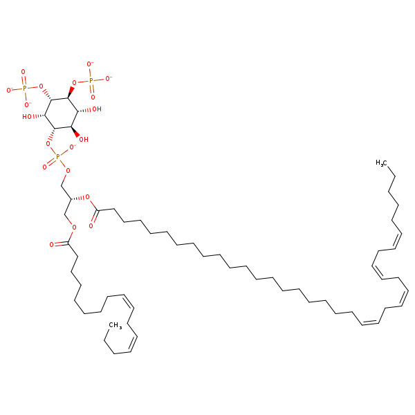 Image of MNXM322906