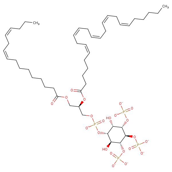 Image of MNXM323316