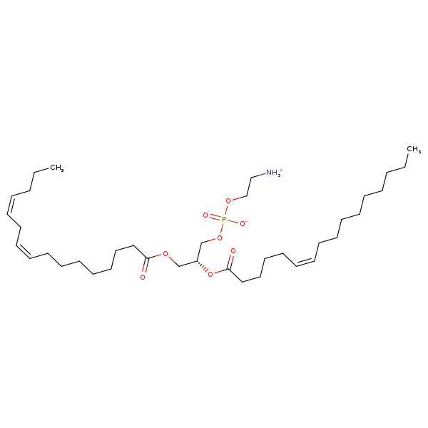 Image of MNXM323519