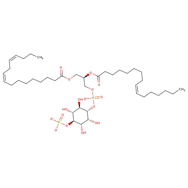 Image of MNXM324257