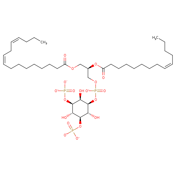 Image of MNXM324385