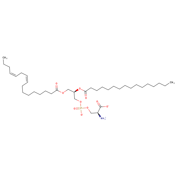 Image of MNXM324884