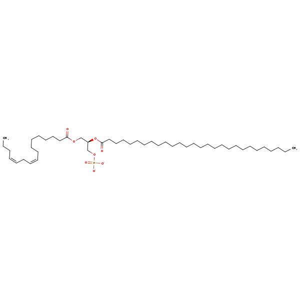 Image of MNXM325016
