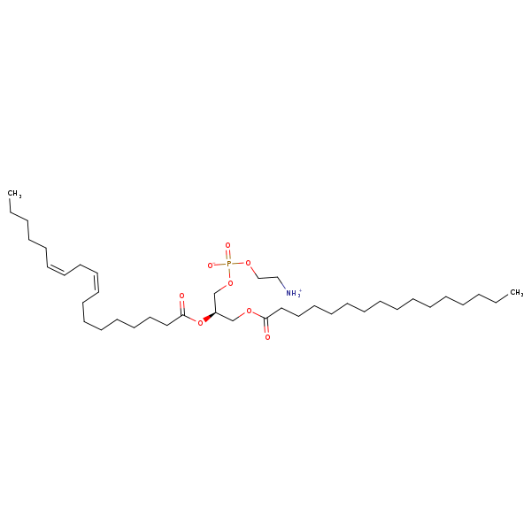 Image of MNXM32503