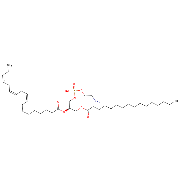 Image of MNXM32506