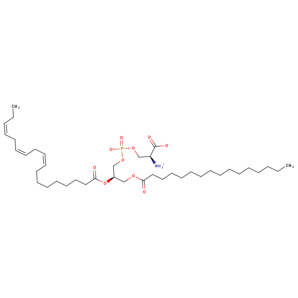 Image of MNXM32508