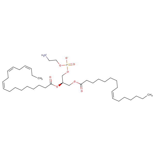 Image of MNXM32516