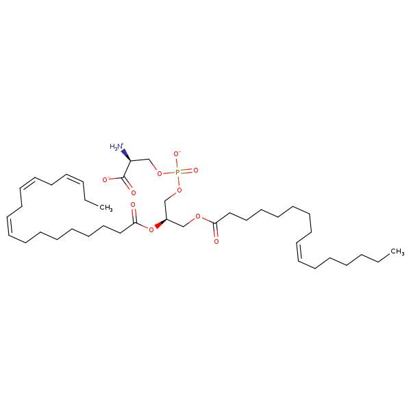 Image of MNXM32518