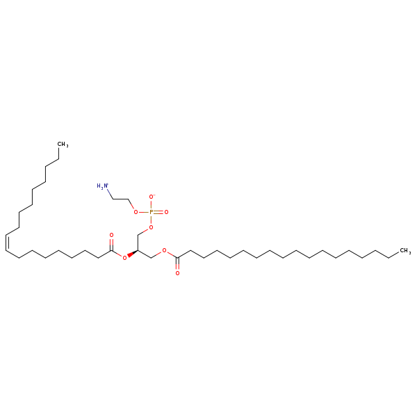 Image of MNXM32527
