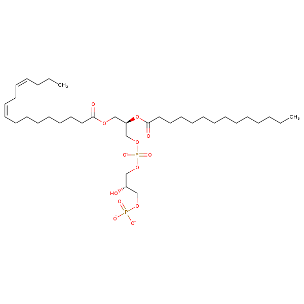 Image of MNXM325305