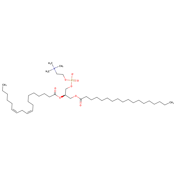 Image of MNXM32533