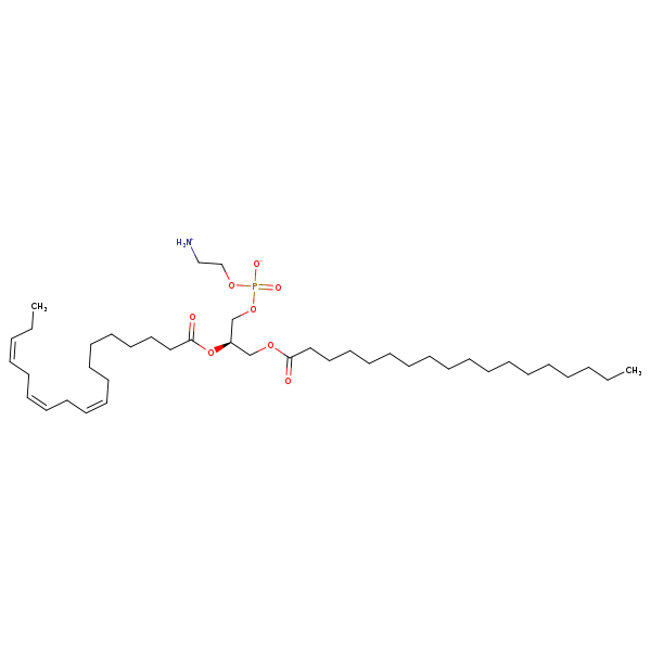 Image of MNXM32541