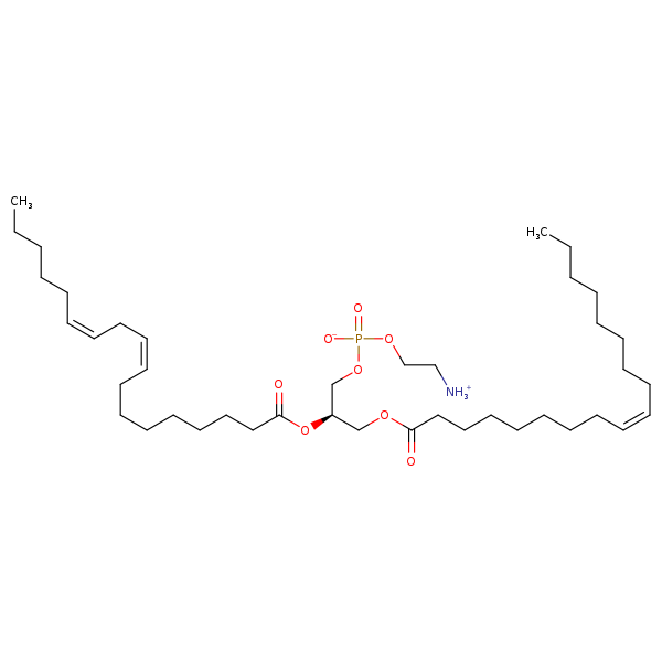 Image of MNXM32553