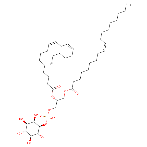 Image of MNXM32554