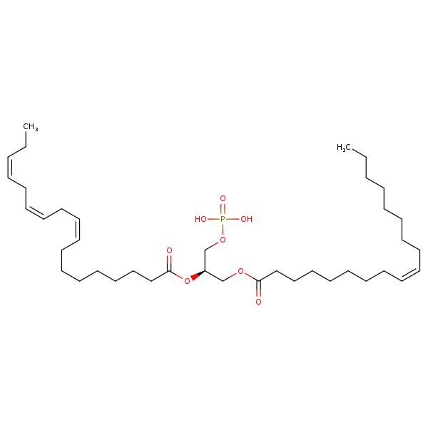 Image of MNXM32558