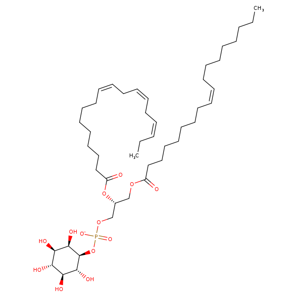 Image of MNXM32560