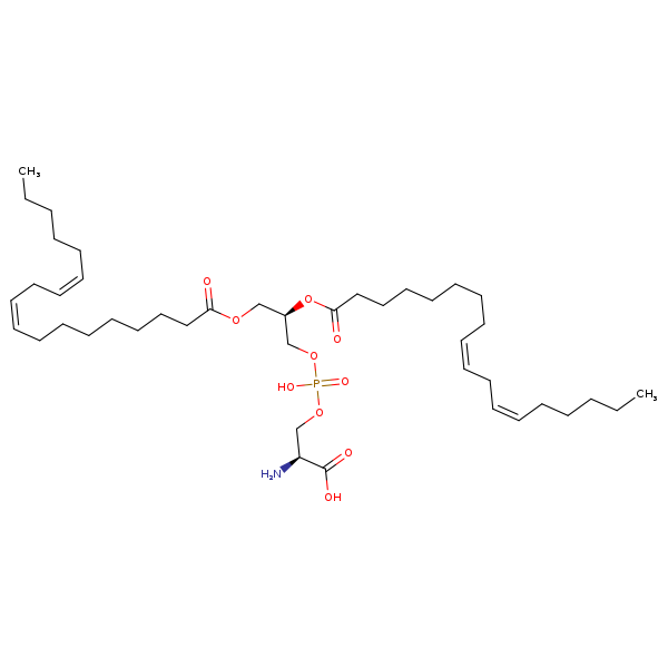 Image of MNXM32568