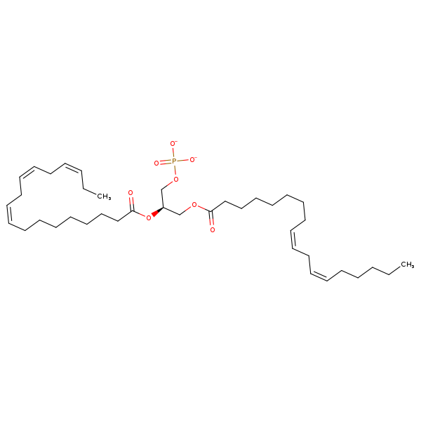 Image of MNXM32569