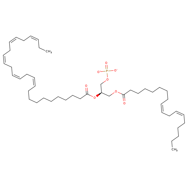Image of MNXM325745