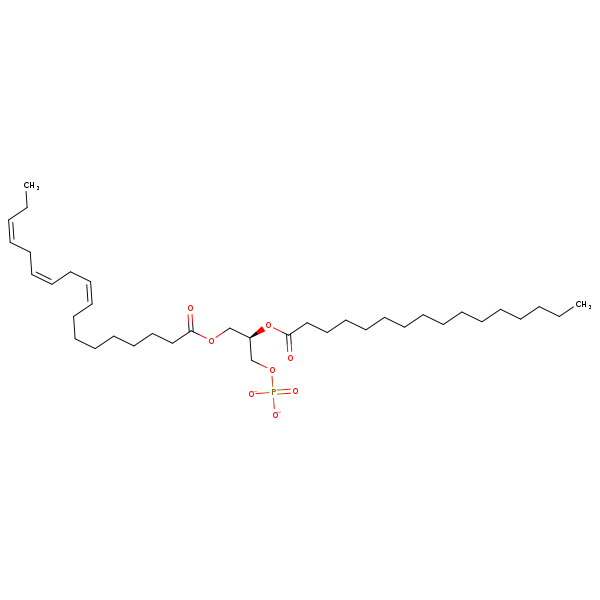 Image of MNXM32576