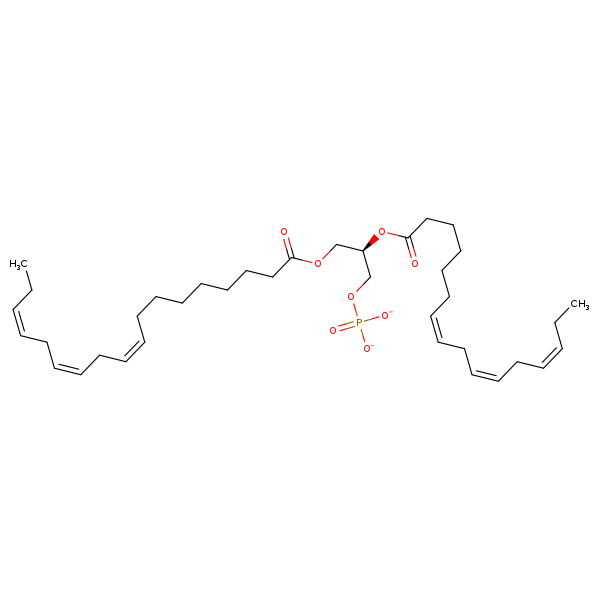Image of MNXM32581