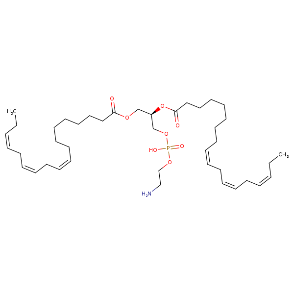 Image of MNXM32583