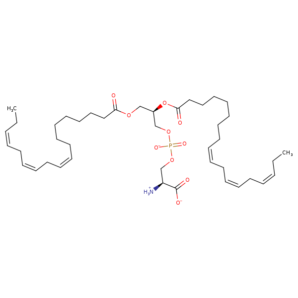 Image of MNXM32585