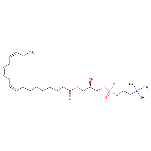 Image of MNXM32586