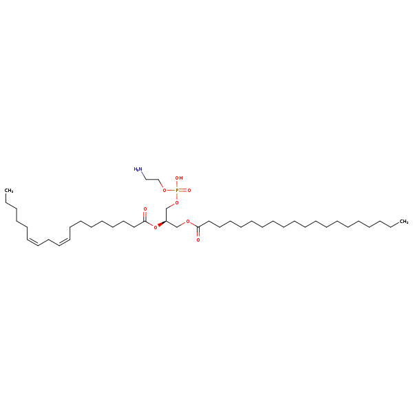 Image of MNXM32591