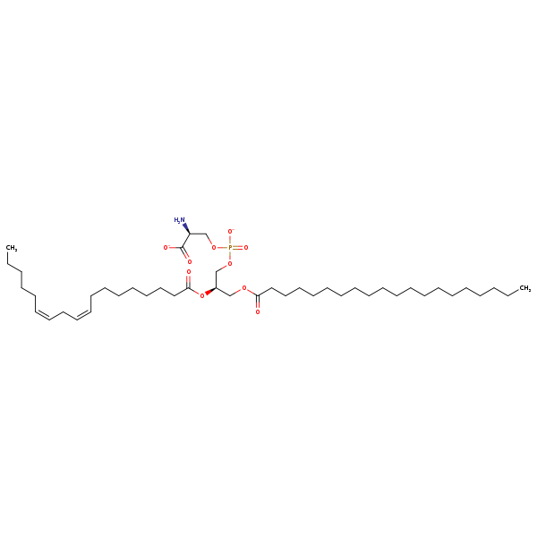 Image of MNXM32592