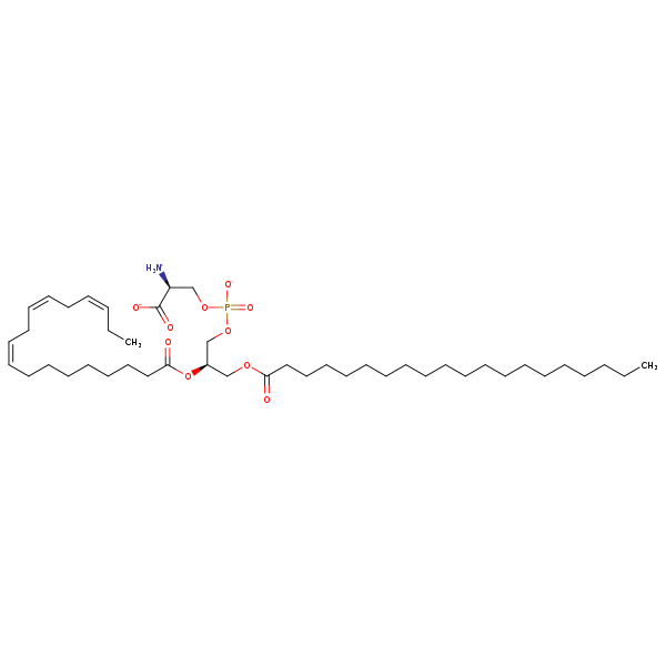 Image of MNXM32597