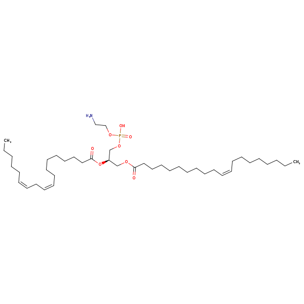 Image of MNXM32601