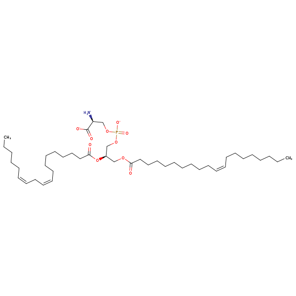 Image of MNXM32602