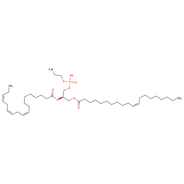 Image of MNXM32606