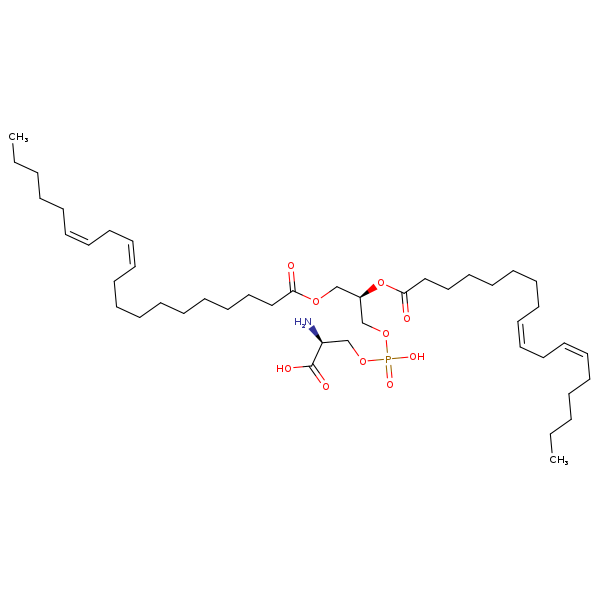 Image of MNXM32612