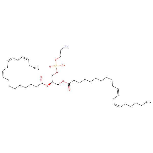 Image of MNXM32616