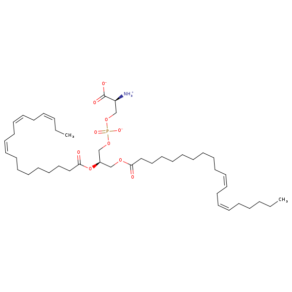 Image of MNXM32617