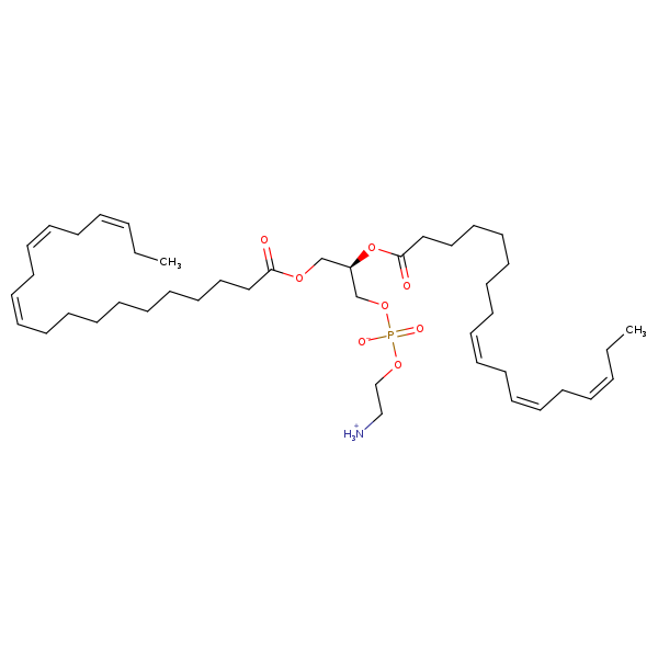 Image of MNXM32621