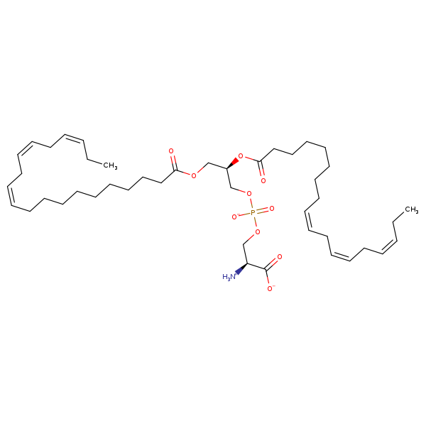 Image of MNXM32622